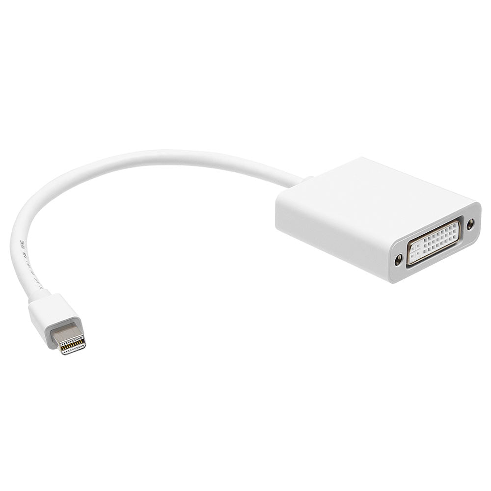 XTECH Mini DisplayPort to DVI Female Adaptor